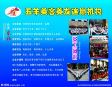 kaiyun官方网站:激光发生器厂家(国内激光发生器厂家)